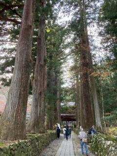 光前寺参道のイメージ画像