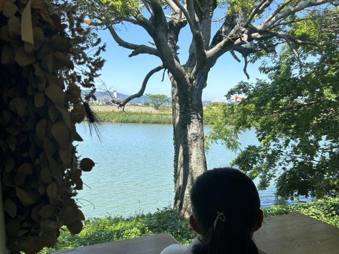 旧吉野川のある景色のイメージ画像