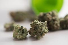 サムイ空港で英国人4人とマレーシア人1人を逮捕、 144kgの大麻密輸未遂のイメージ画像