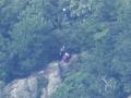 登山中の男性がクマに襲われ藪の中に引きずりこまれる"安否不明"に…警察がハンターと共に現場へ急行＿斜里町・羅臼町側とも登山道閉鎖されるも登山者多数、知床五湖の施設も閉鎖＜北海道羅臼岳＞