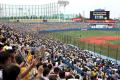 阪神タイガース・岡田彰布監督、“ア..