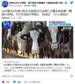 なぜ最大4万頭の乳牛の殺処分が必要? 元農水省官僚「農政の失敗。それを国民が負担」のイメージ画像