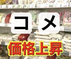 コメ価格上昇 店頭では 消費者物価指数では？新潟県や東北産は数量確保が…のイメージ画像