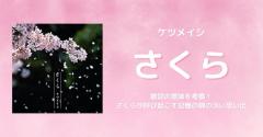 ケツメイシ「さくら」歌詞の意味を考察！さくらが呼び起こす記憶の隅の淡い思い出