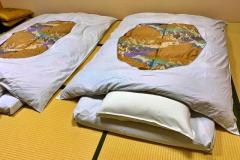 「なぜその部屋に…」林間学校でトコジラミ被害 教員が“虫だらけの部屋”で児童寝させる 学校は謝罪