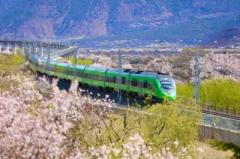 チベットに向かう観光客数と特別観光列車運行数がここ5年で最多に―中国のイメージ画像