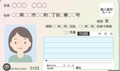 日本大使館で国外転出者向けマイナンバーカード関連手続きが開始のイメージ画像