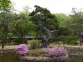 【コラム】そして華道は、日本海を渡..