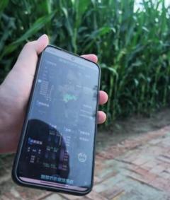 スマート農業による圃場管理の高度化、広大な農地を「指先」で管理―中国のイメージ画像