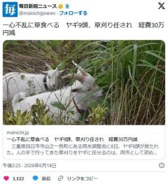 除草にヤギ 経費が90万から50万に減る 草はヤギの燃料になるので永久機関のイメージ画像