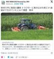 ｻﾞｸｻﾞｸｻﾞｸ。1.9メートルの草..