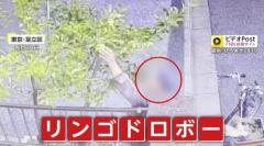 70代母親の“一番の楽しみ”奪われ…木になったリンゴを根こそぎもぎ取り走り去る自転車2人組「たぶん80代くらいの夫婦」買い物帰りの盗みか 東京・足立区