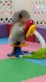 高速移動の真っ最中？遊具で遊ぶ2歳児..