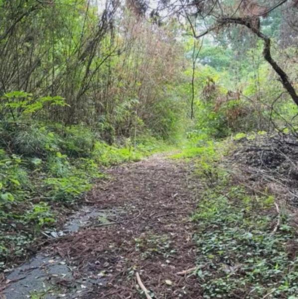 原因不明の建物火災・山林火災が相次いだ現場「ガスバーナーで火をつけた」倉庫を全焼させた疑いで80代無職の男を逮捕