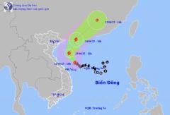 【気象】台風1号が接近、フエ省などで350mm超の豪雨ものイメージ画像