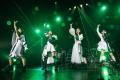 <strong>TEAM</strong> SHACHI、パシフィコ横浜公演&1stフル..