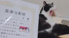 23歳の誕生日を迎えたおじいちゃん猫長寿の秘訣とは？