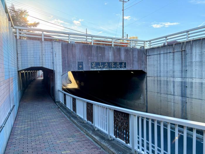 芝山立体交差のイメージ画像