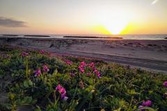 金沢 専光寺浜の夕日