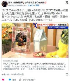 ｢サブ ごめんなさい…｣飼い犬の老いたチワワを6階から落とした女性 ｢楽になるかと思って…｣ 名古屋のイメージ画像