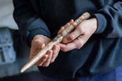 人類は2万年前からクジラの骨で道具を作っていた！ アメリカのイメージ画像
