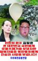 韓国の脱北民団体が「ビラ20万枚」を北朝鮮に飛ばす