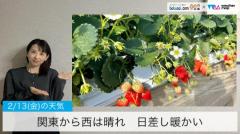 関東から西の地域は晴れて日差し暖かい