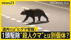 同じ「クマ」が4年前にも人死なせたか DNAが一致「銃声がして」同じ町内で1頭駆除 “殺人クマ”とは別個体？【news23】