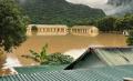 【災害】ゲアン省で記録的豪雨想定外の水量で洪水が発生