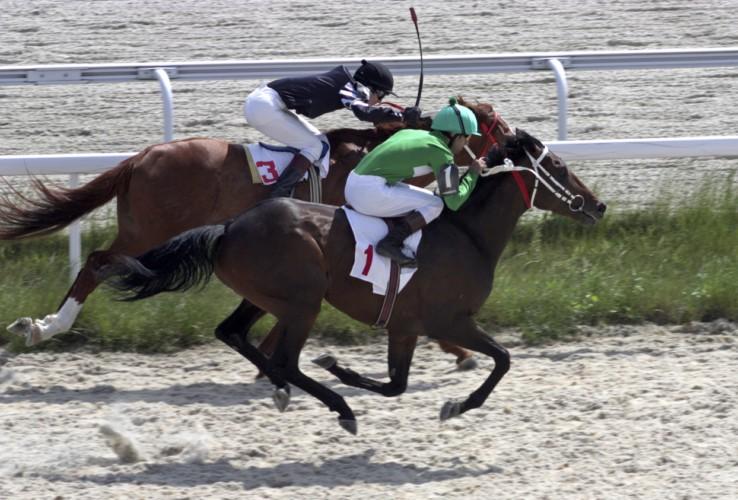 当たり馬券をなぜかハズレにされた馬券オヤジに愛の手を