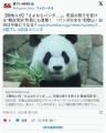 白浜町民「パンダ返して！！！！」  町長「困る人は自分たちで中国にお願いしに行けば（笑）」