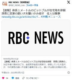 【沖縄】体長1メートルのピットブルが住宅地を徘徊深夜に民家の飼い犬を襲いかみ殺す住人は無事のイメージ画像