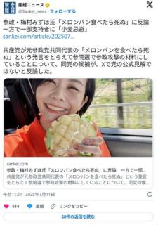 参政党「メロンパン発言したやつはもう消した!!」のイメージ画像