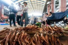 収穫シーズン到来！さまざまな野生キノコ並ぶ雲南省のキノコ取引市場―中国のイメージ画像