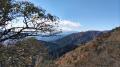 大山の富士見台より
