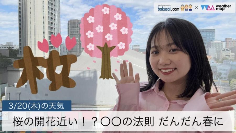 桜の開花近い！？○○の法則だんだん春にのイメージ画像
