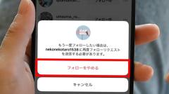 インスタでフォローを外されたらどうなる？「誰が外したか」確認する方法のイメージ画像