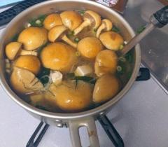「長野のくそでかなめこ」に衝撃これが……なめこ？