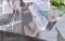 韓国当局 新型コロナ感染の微増を懸念＝高リスク層にワクチン接種要請