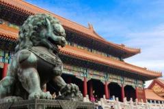 中国、サウジなど4カ国に対しビザ免除政策を試行のイメージ画像