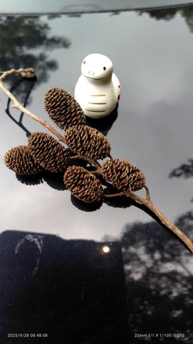 巳の年の終わりに……。のイメージ画像