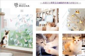 猫カフェMOCHA立川店、猫連続死で営業継続し炎上