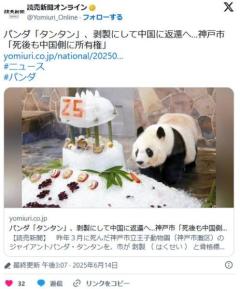 パンダ「タンタン」 剥製にして中国に返還へ…神戸市「死後も中国側に所有権」のイメージ画像