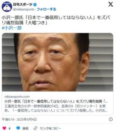 小沢一郎氏「日本で一番信用してはならない人」をズバリ痛烈指摘 「大嘘つき」のイメージ画像