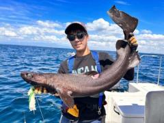 深海魚ハンター・西野勇馬さん9月に釣り上げた超激レア深海ザメ「イチハラビロウドザメ」が日本記録に認定