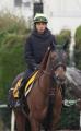 落馬の上里は骨折と肺挫傷 加藤士師「..