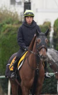 落馬の上里は骨折と肺挫傷 加藤士師「状態次第で復帰のメドが立つかなと思います」