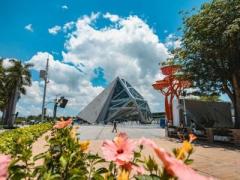上半期に深センの空港から出入国した外国人が前年同期比52％増に―中国