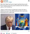 【悲報】ニューヨーク州「トランプを..