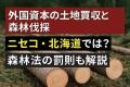 【外国人や海外資本に買われる"北海道の森林"】全国最多の43件･374ヘクタールに…購入目的は"資産保有や太陽光発電"など様々…最も大規模な取得は韓国法人による七飯町の森林118ヘクタール